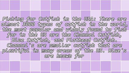 Fishing for Catfish in the USA - Popular Species of Catfish to Catch, The Best Techniques and Bait
