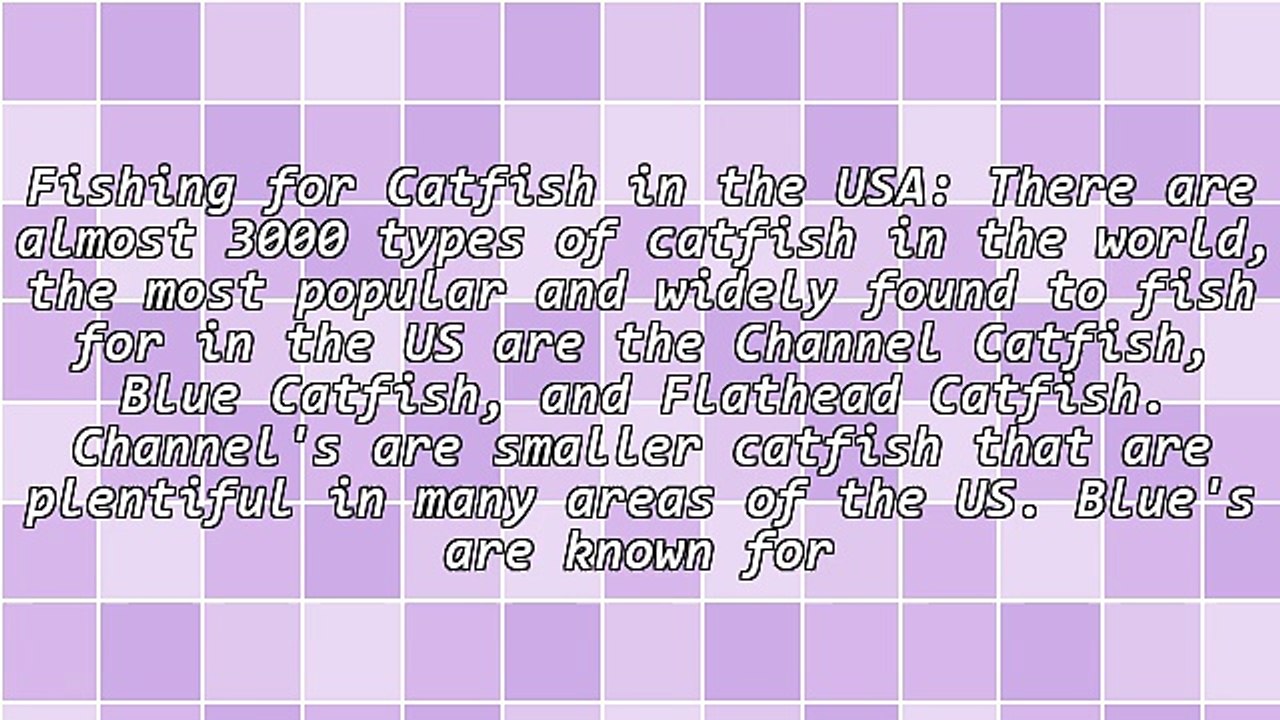 Fishing for Catfish in the USA - Popular Species of Catfish to Catch, The Best Techniques and Bait