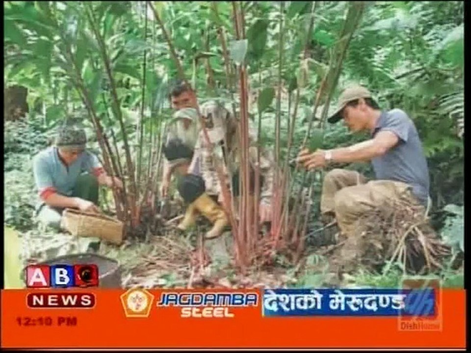 Afternoon News, Jan. 10, 2015