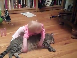 10 Ways To Use Your Cat As Something Besides A Cat