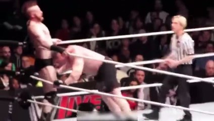 Brock Lesnar vs Sheamus WWE Live Event Houston TX