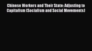 [PDF Download] Chinese Workers and Their State: Adjusting to Capitalism (Socialism and Social