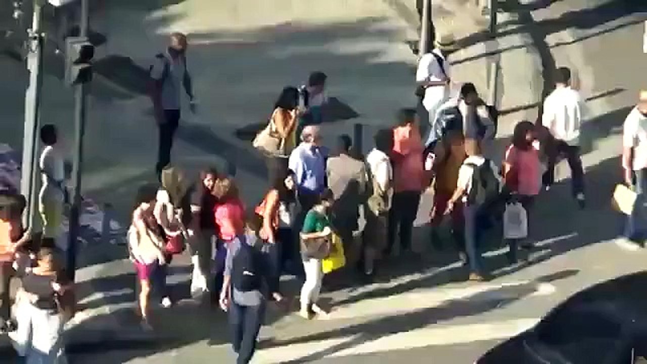 Arrachages de colliers en masse au Brésil