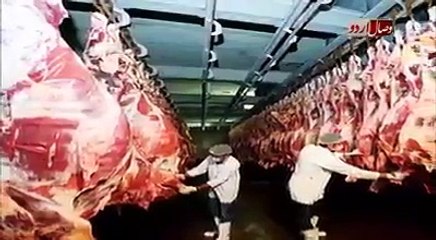 Watch how indian hindos are sold his mother meat to forn countries