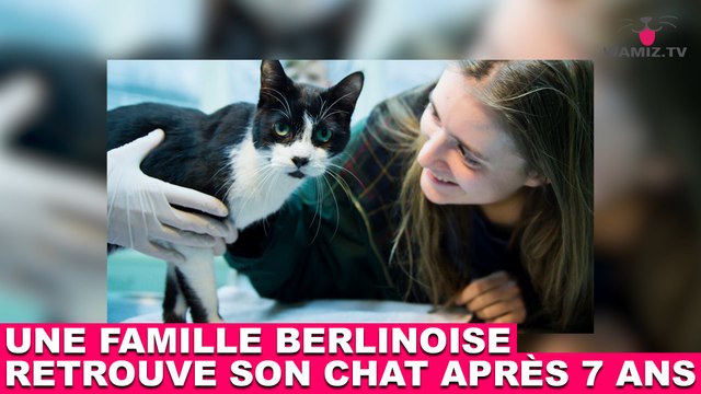 Une famille berlinoise retrouve son chat après 7 ans ! L'histoire dans la minute chat #94