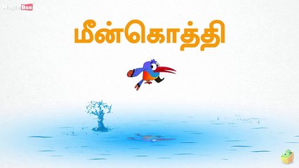 Kingfisher(மீன்கொத்தி) - Birds(பறவைகள்) - Learn Tamil Sp