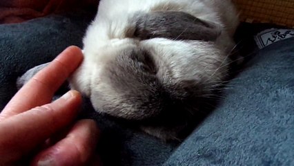 Réveil en douceur pour Jade un dimanche matin