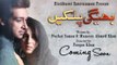 Bheegi Palkein OST - Full Title Song of Pakistani Drama 2016