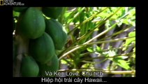 Hawaiian Fusion - Food Lover's Guide To The Planet