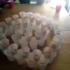 You Have To Be Drunk To Try This Funniest Best Vines