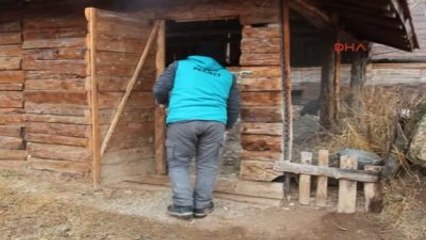 Burdur - Yaralı Flamingo Sondayla Beslenip Tedavi Ediliyor