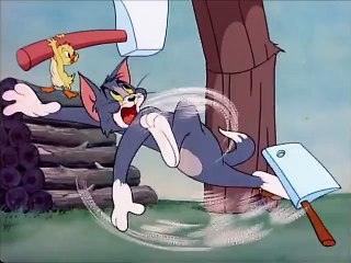 Tom and Jerry, 47 Episode - Little Quacker (1950)