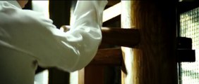 Ip Man 3 VIRAL VIDEO Wing Chun Lesson One (2016) Donnie Yen, Jin Zhang Movie HD