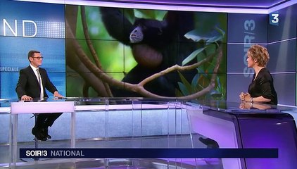 Véronique Jannot : "La vie va trop vite pour l'Homme"