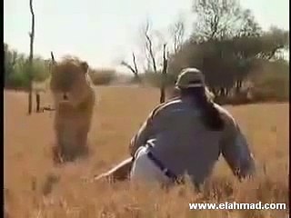 MAN vs LION Fight with No guns see who wins