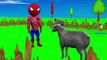 Baa Baa Black Sheep Nursery Rhymes | 3D Animation Children Nursery Rhymes Songs in HD Vers