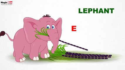 Mammals - Pre School - Learn English Words (Spelling) Video For Kids and Toddlers