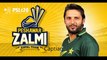 Peshawar Zalmi Players -- PSL 2016 -- Pakistan Super League
