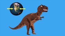 T Rex for Kids/Tyrannosaurus Rex for children/Dinosaur Song/ Facts/ Information for Kids/C