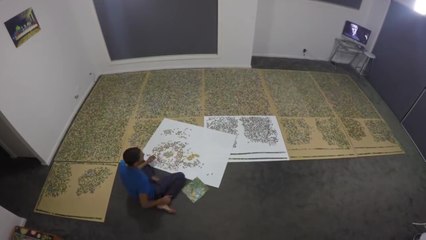Timelapse : 9 mois pour finir un puzzle de 33 600 pièces