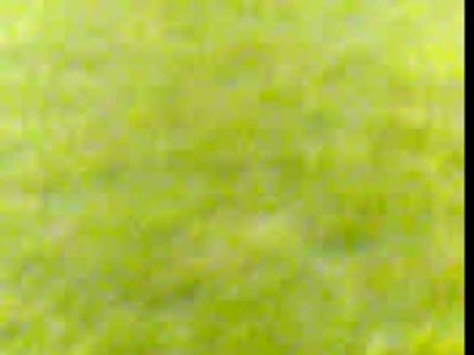 Vidéo000