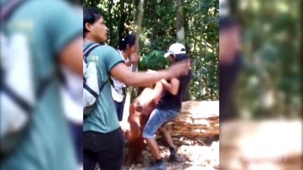 When Animals Attack Compilation Part 2 by FailArmy