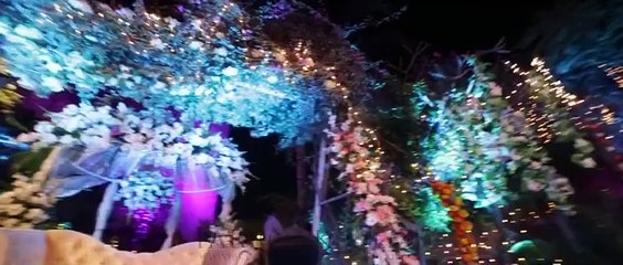Exclusive Video of Sanam Jung's Nikkah