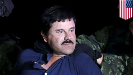 El Chapo's dreams of a 'Narcos'-like biopic led to his capture