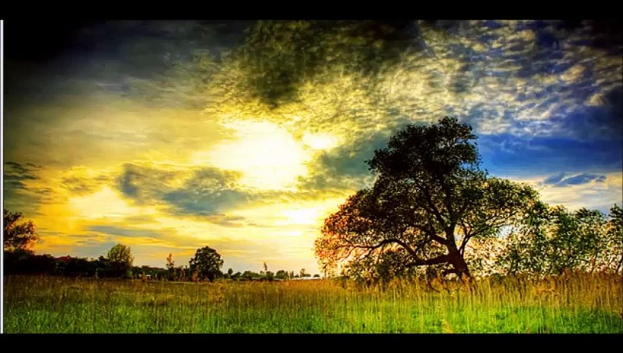 -- Issız Adada Bir Ceylan --  Şiir ve Yorum- Ahmet YÜKSEL