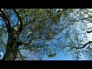 PAIT KEPUTUSANE  rudy setro @ lagu tarling