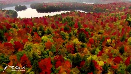 A Rational Proof for the Meaning of Life - A Taxi Driver explains the Purpose of Life