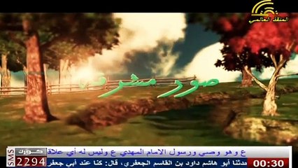 برنامج صور مشرقة - مناظرة أمير المؤمنين (ع) مع رجل من أهل الشام في القضاء والقدر