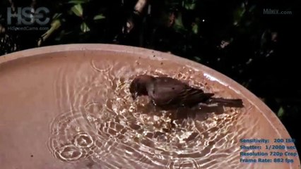 Incredible Super Slow Motion Videos Compilation