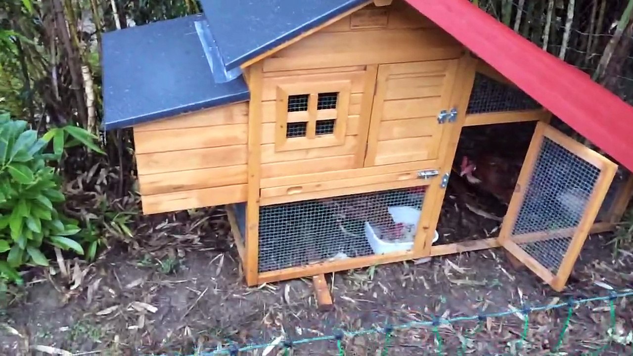 Petit poulallier pour poules