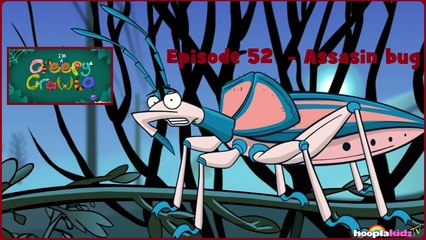 I'm a Creepy Crawly - Episode 52 - Assasin Bug