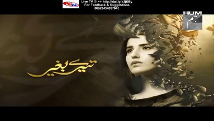 Tere Baghair Hum Tv Drama Next Episode 15 Promo (20 January 2016)