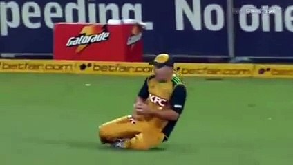 Brad Haddin SENSATIONAL CATCH   2016