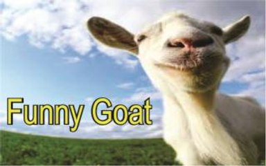 Crazy goat with a funny tongue