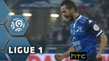 But Fabien CAMUS (67ème) / Olympique Lyonnais - ESTAC Troyes - (4-1) - (OL-ESTAC) / 2015-16
