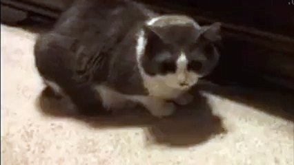 Why the loans never helped the greeks