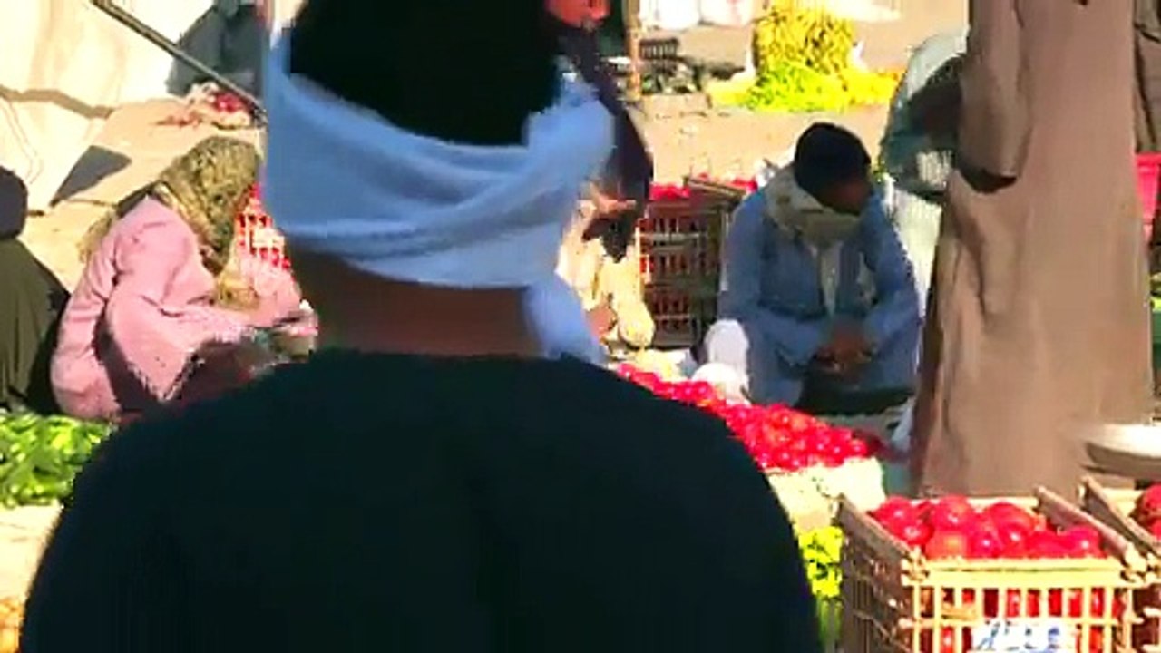 Immortal Egypt with Joann Fletcher