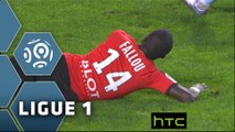 But Fallou DIAGNE (4ème csc) / Stade Rennais FC - FC Lorient - (2-2) - (SRFC-FCL) / 2015-16
