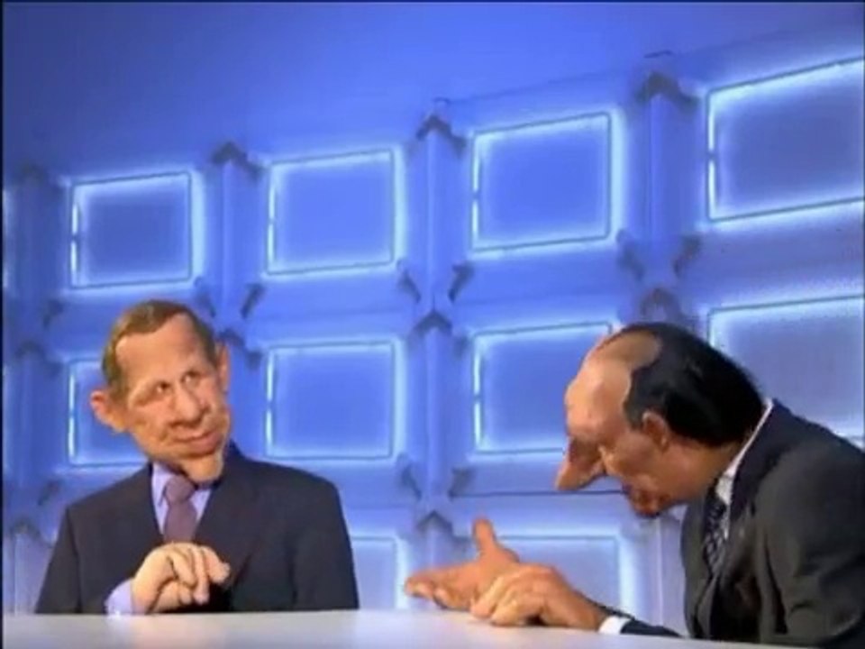 Chat bite et chat minou