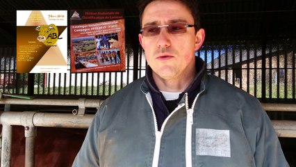 Ouvertures pelviennes en race Limousine