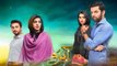 Abro Episode 04 Full HUM TV Drama 10 January 2016 | Most Watched Hum Tv Drama | Best Pakistani Drama