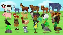Animal Sounds Song Animal Sounds for Children to Learn