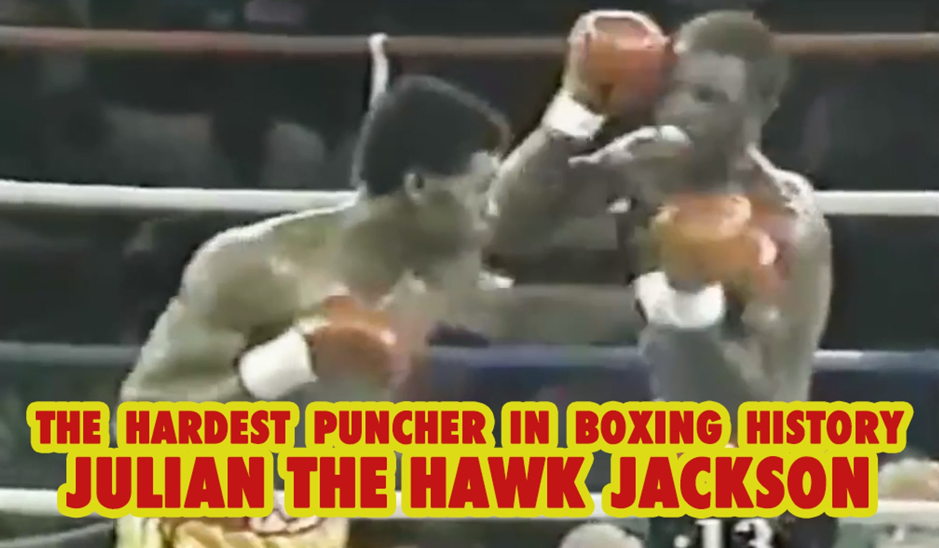 Hardest Puncher In Boxing Youtube