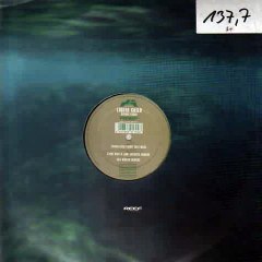 Liquid Child - Diving Faces (Original Mix)