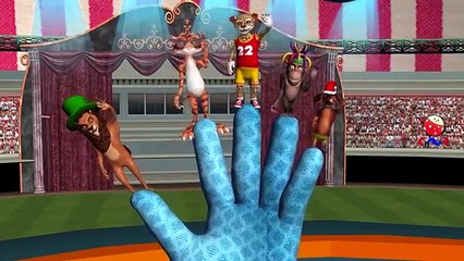 Animals Cartoons Train Song _ Wheels On The Bus _ Finger Family Rhymes _ Old MacDonald Had A Farm