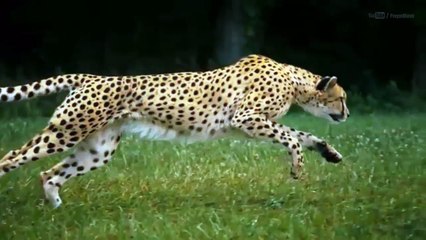 the Most Mind-Blowing Slow Motion Videos